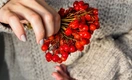 Как правильно есть калину красную, чтобы она снижала давление и помогала от бессонницы