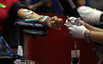Долой антигены: врачи впервые заменили группу крови донорской почки на универсальную