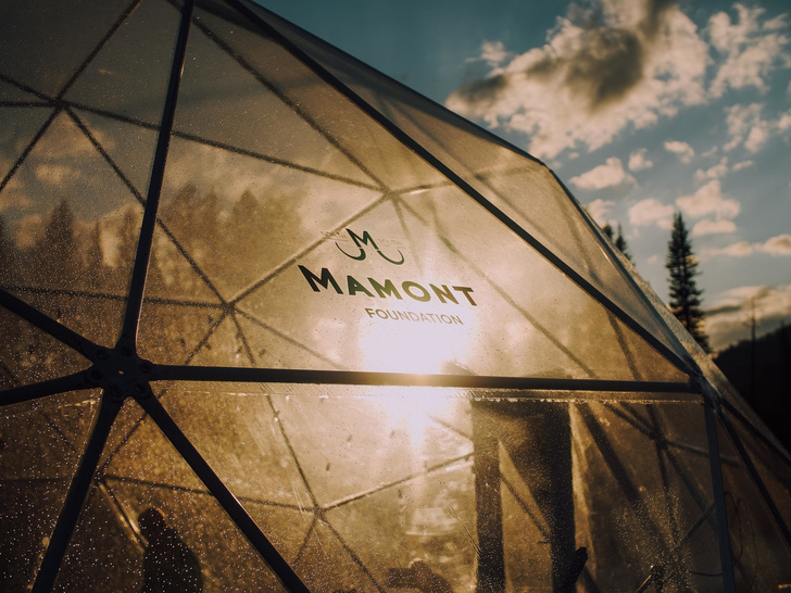 Глэмпинг Mamont Camp Алтай: новая точка на туристической карте России