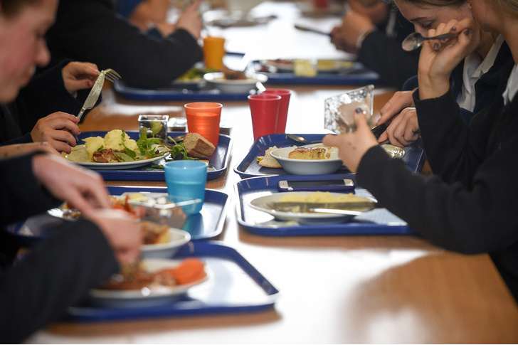 Болоньезе из сверчков: британских школьников будут кормить насекомыми вместо мяса