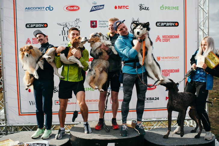 Австралийская овчарка, бигль и хаски: в Москве нашли самых быстрых псов