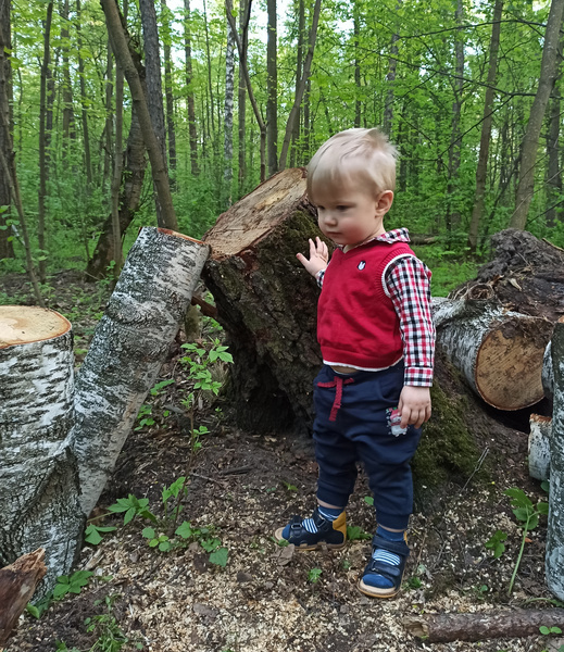 Детский фотоконкурс «Лесные приключения»: выбираем лучшие снимки