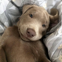 Аватарка СОФИЯ