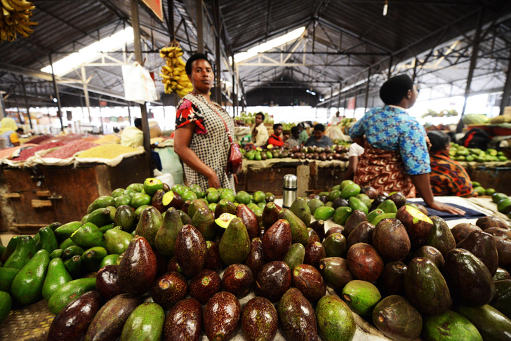На что способно авокадо? 11 причин купить хаас или эттингер в ближайшем супермаркете