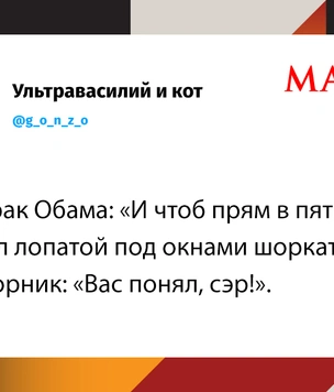 Шутки среды и порхай как юрлицо