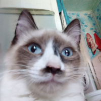 Аватарка Trawka🤙🏻