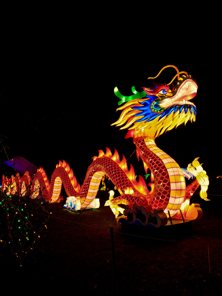 10 интересных фактов о Китайском новом годе