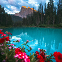 Аватарка Natahka88