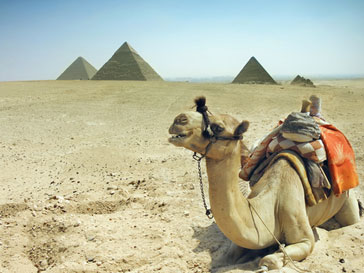 Музеи Египта стали жертвами мародеров