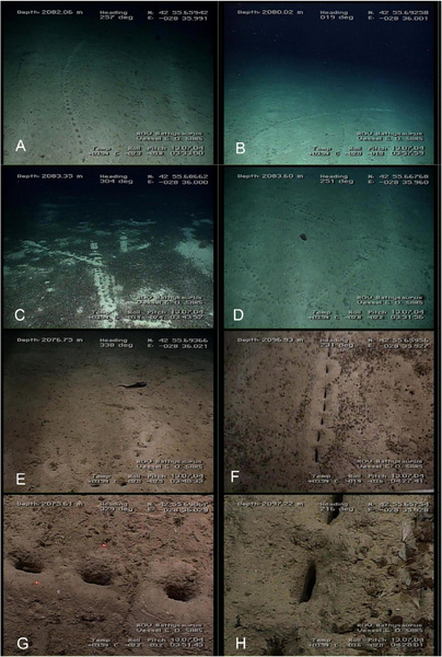 Как будто сверлили перфоратором: на глубине 2 км в океане нашли загадочные ряды отверстий