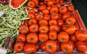 Солнечный овощ: ученые заставили томат вырабатывать витамин D