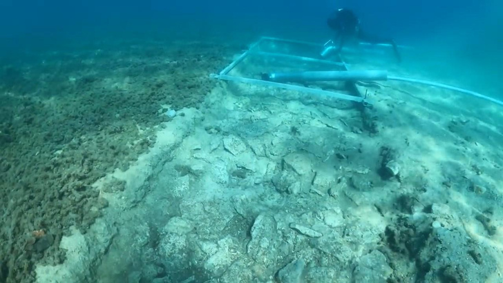 Атлантида из неолита: на дне моря нашли дорогу, которую построили 7000 лет назад