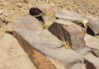 В Иране обнаружены прежде неизвестные петроглифы