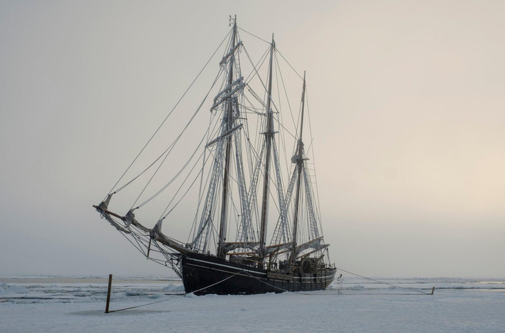 Затерянный во льдах: история корабля-призрака «Октавиус» с мертвым экипажем на борту