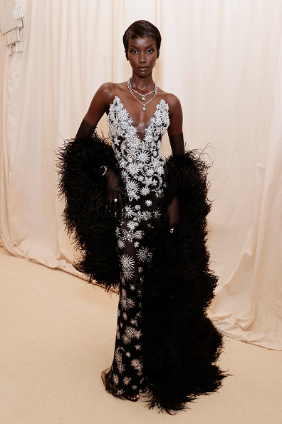 Парад богинь: 15 супермоделей на Met Gala 2021