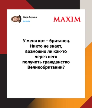 Шутки понедельника и доктор Кокс