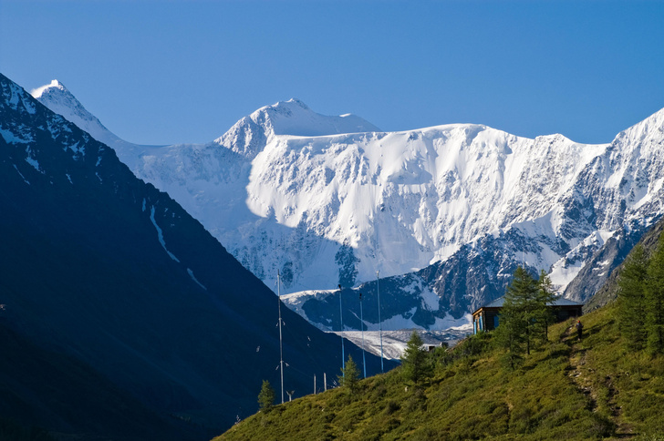 Где расположена высшая точка Алтайских гор?