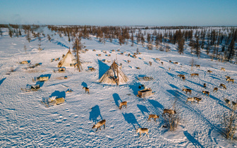 Как живут оленеводы на Ямале: 10 удивительных фактов
