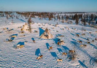 Как живут оленеводы на Ямале: 10 удивительных фактов