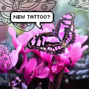Тест-рулетка: Выбери бабочку, и мы скажем, где тебе сделать татуировку 🦋
