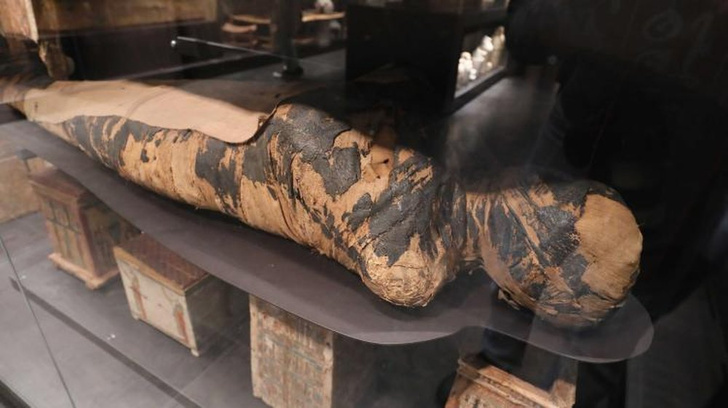 Запоздалый диагноз: ученые обнаружили рак носоглотки у египетской мумии