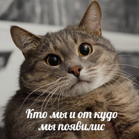 Аватарка murphy
