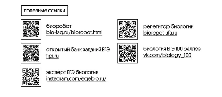 Без паники: как подготовиться к ЕГЭ по биологии за месяц