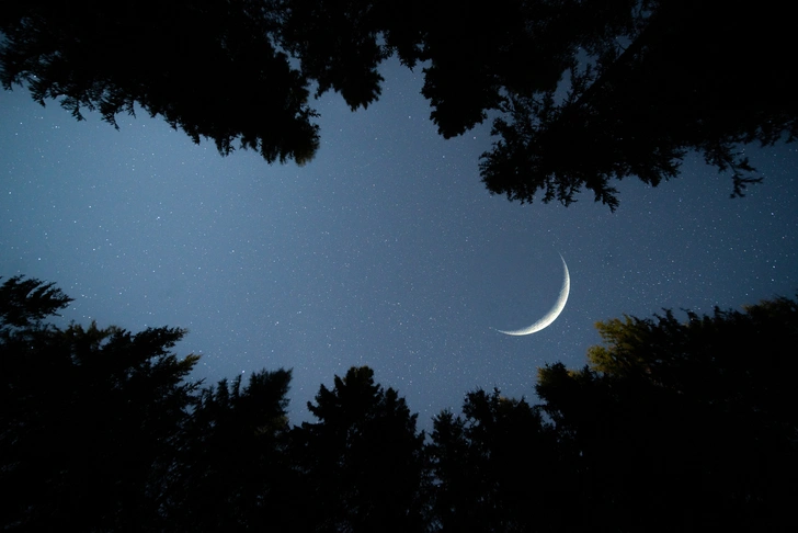 Источник: gettyimages