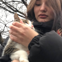 Аватарка Ksyusha