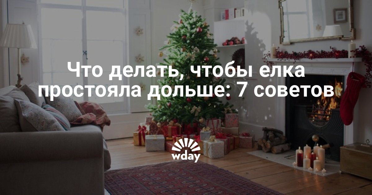 Что добавить чтобы елка долго не осыпалась. Чтобы елка простояла долго. Чтобы елка дольше простояла советы. Что сделать чтобы елочка дольше простояла. Что сделать чтобы Новогодняя елка простояла дольше.