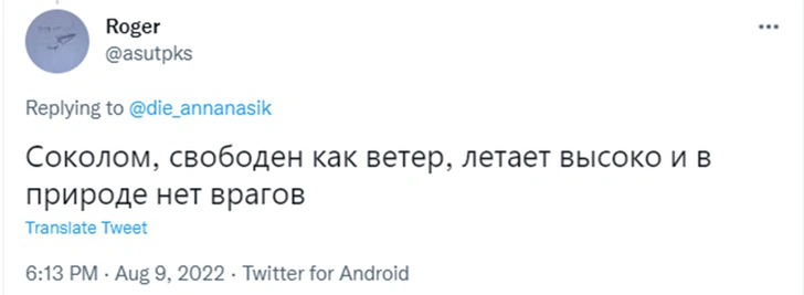 «Хочу быть пандой»: образ жизни каких животных нам кажется привлекательным