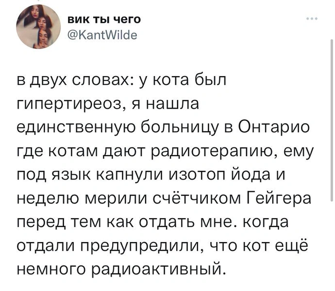 Тред: истории из жизни, которые звучат так, будто их выдумали