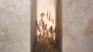 MosBuild 2022: стенд AM Group по проекту P+Z Interiors