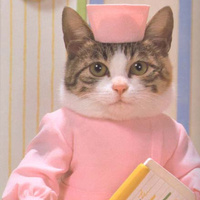 Аватарка Dr. Kitty