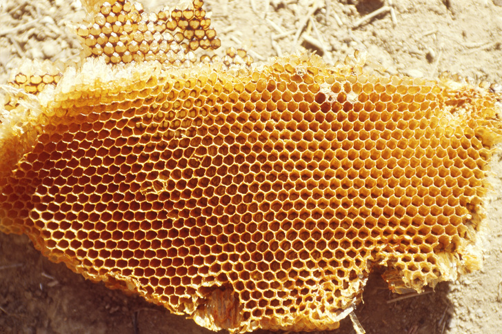 мазь из пчелиного воска