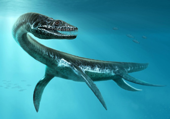 Гибрид змеи с крокодилом: пылившийся в музее скелет оказался новым видом морских динозавров