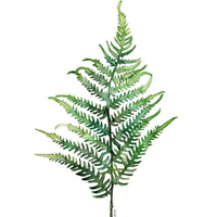 Аватарка Кошошка