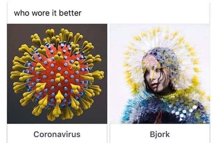 Как в Инстаграме (запрещенная в России экстремистская организация) реагируют на коронавирус: лучшие мемы и арты со всего мира