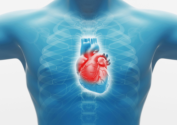 Как делают операции на сердце, ведь его закрывают ребра?