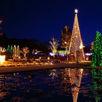 Аватарка anna.kabo