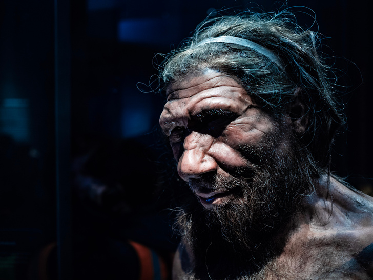 Во всем виноваты неандертальцы: каждый пятый рискует отравиться обезболивающим из-за древних генов