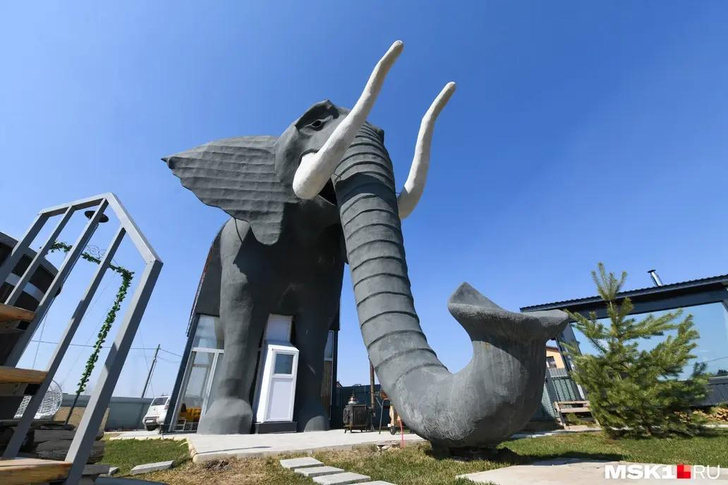 Фотофакт: по Хельсинки слоны ходили - 23 июня - пластиковыеокнавтольятти.рф