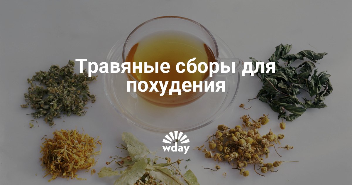 травяные сборы для похудения и очищения травяные сборы для похудения и очищения