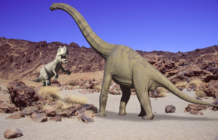 Динозавр с заднего двора: португалец нашел у себя в саду брахиозавра