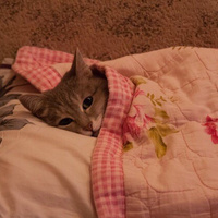 Аватарка Виктория