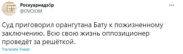 Лучшие шутки про орангутана Бату, из-за которого в Новосибирске разразился политический скандал