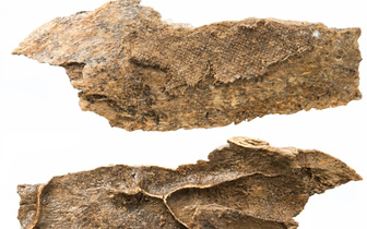 Откуда на Урале бронзового века взялся индийский хлопок? История одной археологической находки