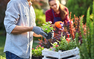 Сад на зависть соседям: какие цветы обязательно стоит посадить на даче
