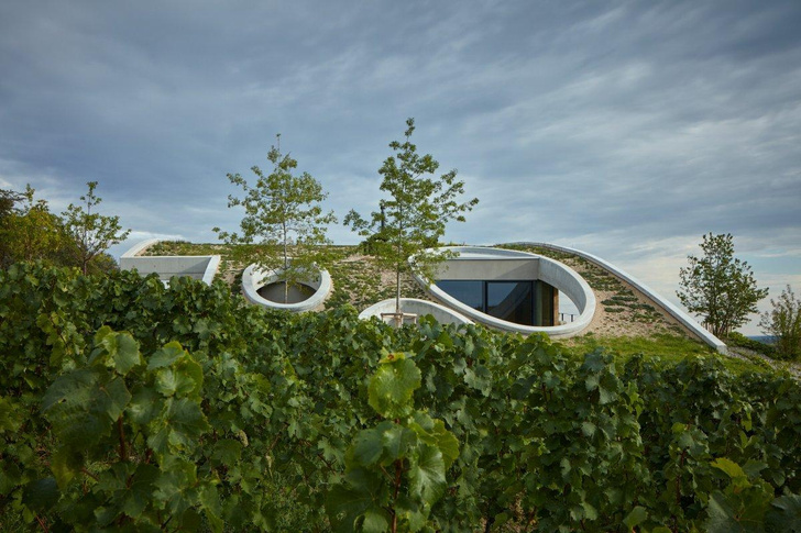 Винодельня Gurdau с зеленой крышей