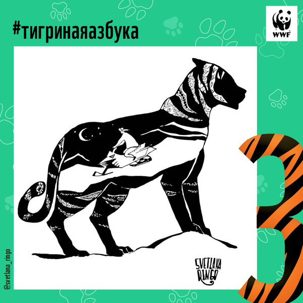Фото №9 - Тигры от А до Я: WWF России и Woman.ru выпустили карточки об амурском тигре
